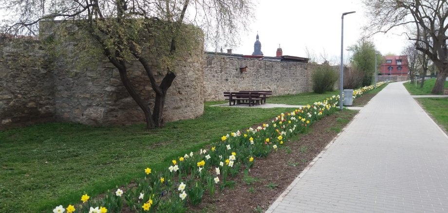 Stadtmauer Kindelbrück